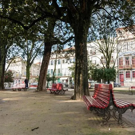 Pet-friendly In Apartamento